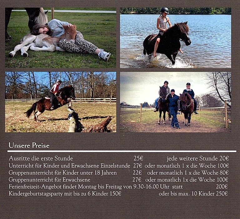 islandpferdegestuet perlenhof winsen aller 03 768x702