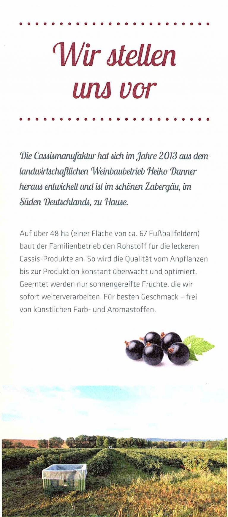 Cassismanufaktur Brackenheim 02 768x1740