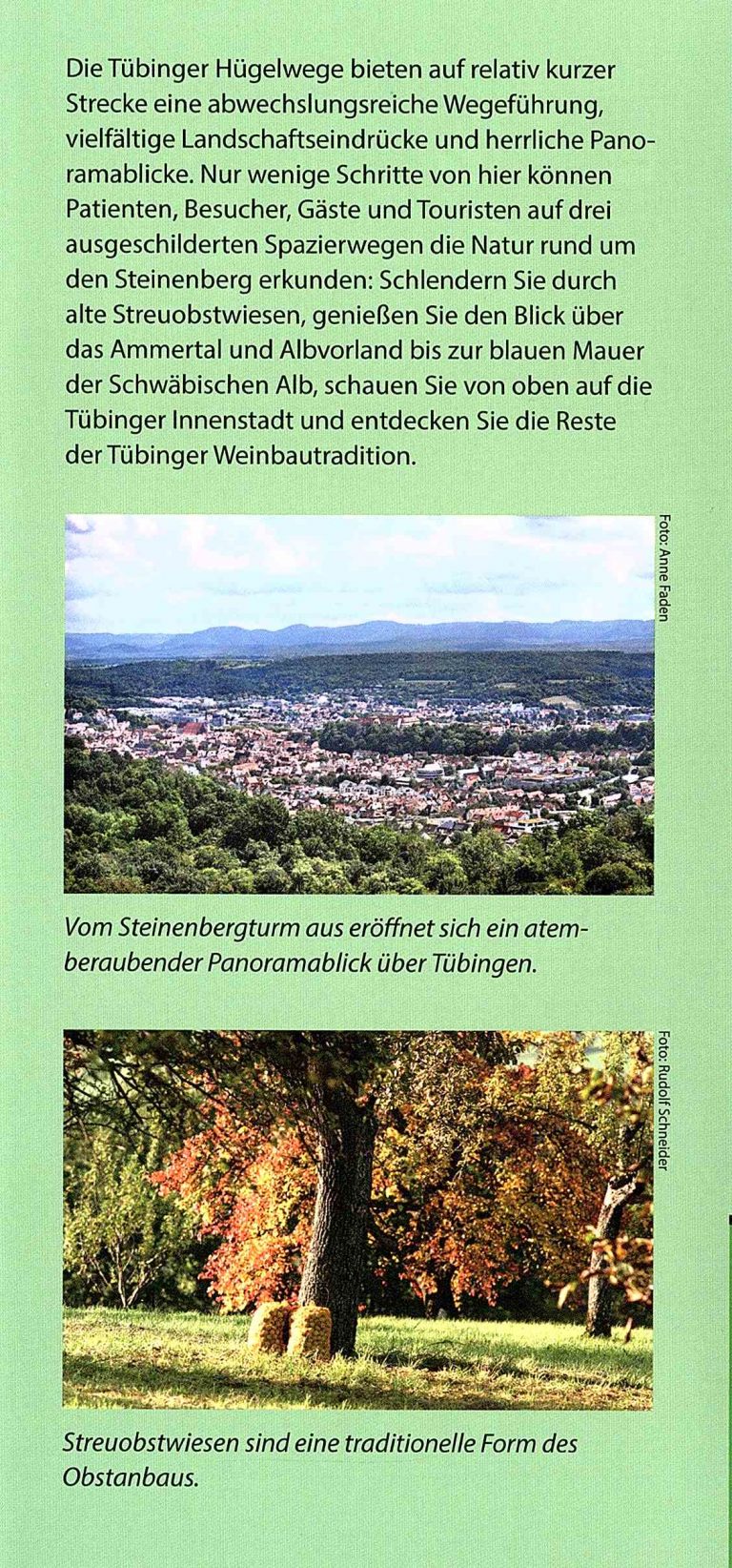 Hügelwege Tübingen 04 768x1644