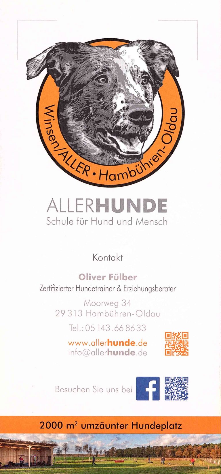 allerhunde hambuehren 04 768x1643