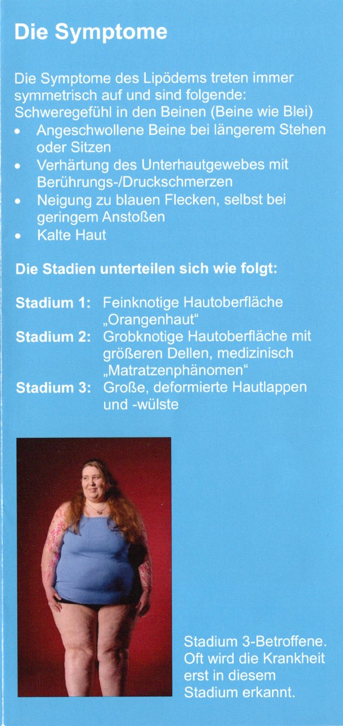 liliy turtles winsen aller 3