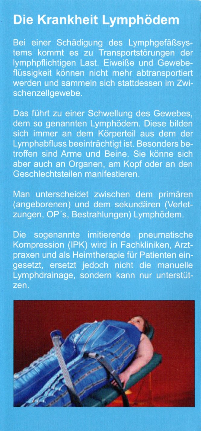 liliy turtles winsen aller 5