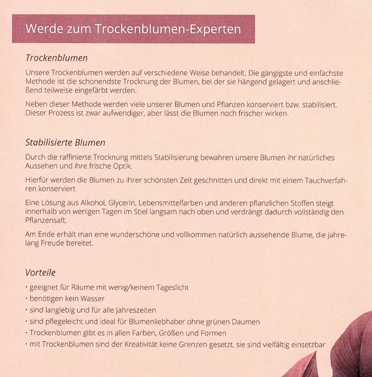 Honey Home of Flowers Celle 03 1 768x777