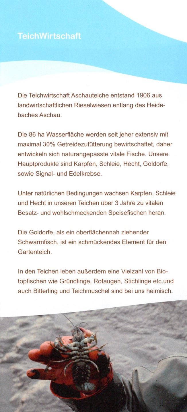 aschauteiche aale forellen eschede05