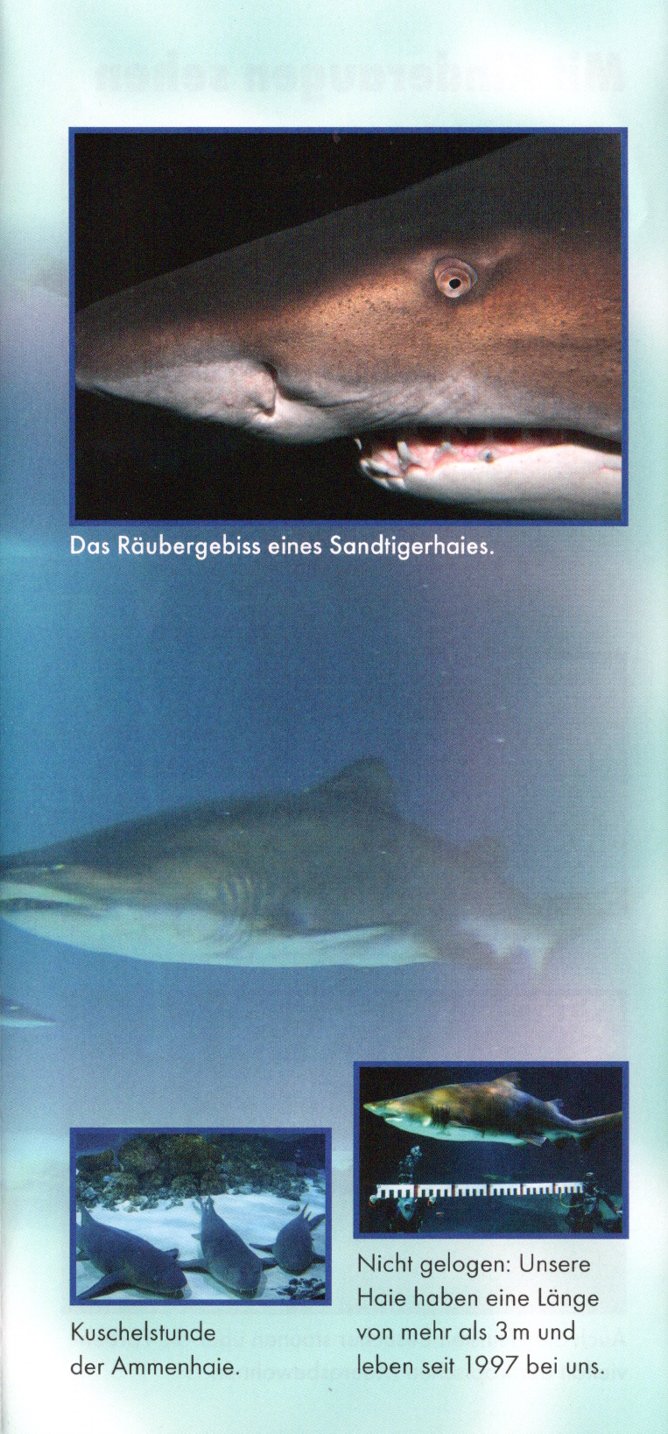 meereszentrum fehmarn03