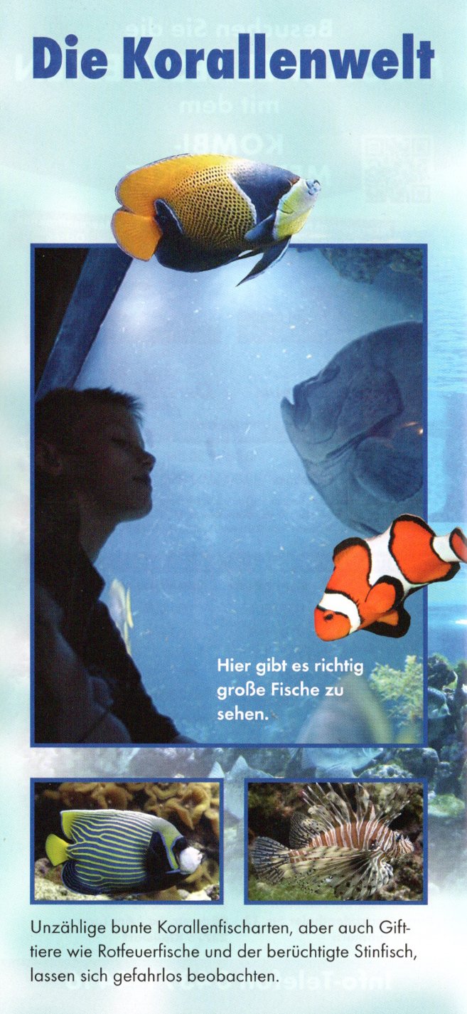 meereszentrum fehmarn05