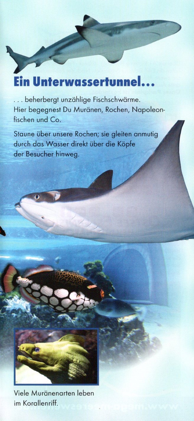 meereszentrum fehmarn06