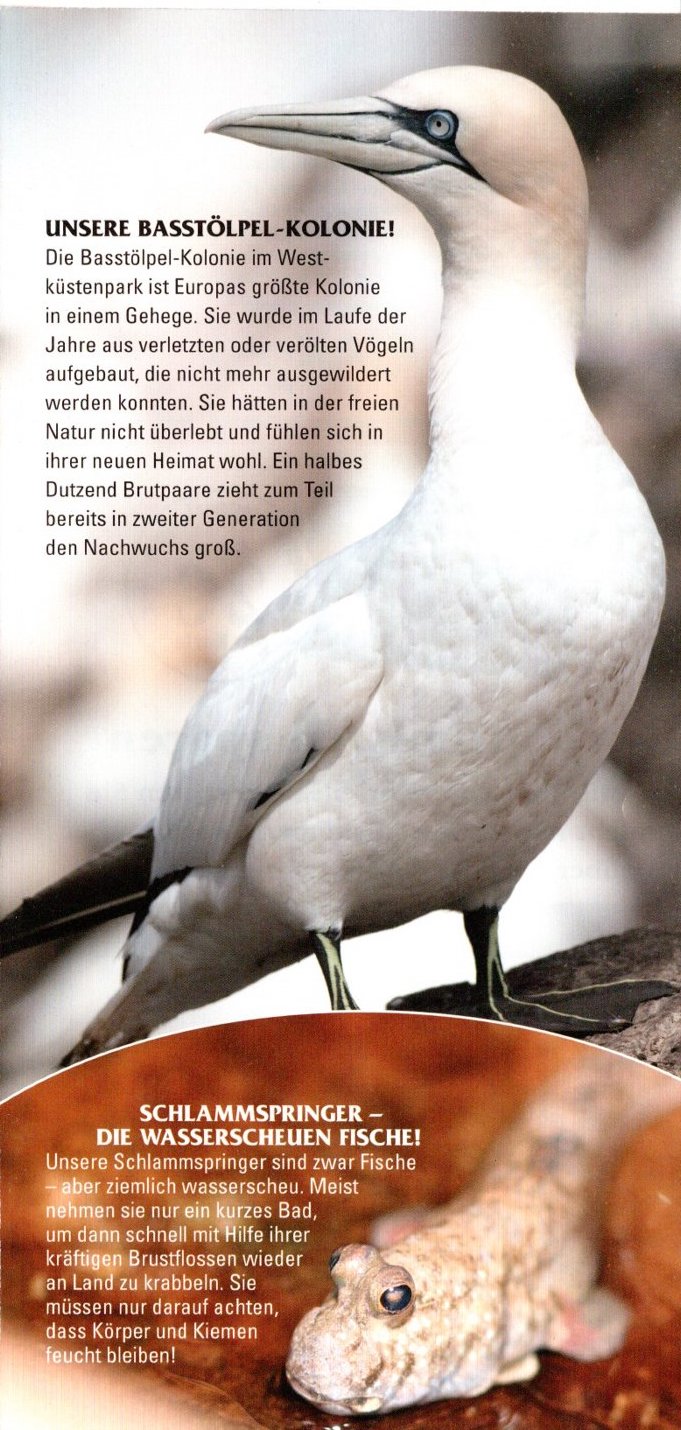 naturerlebnis tierpark st. peter ording06