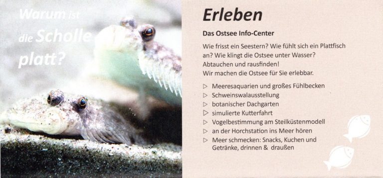 ostsee info center eckernfoerde02 768x358