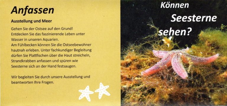 ostsee info center eckernfoerde03 768x359