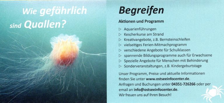 ostsee info center eckernfoerde04 768x354