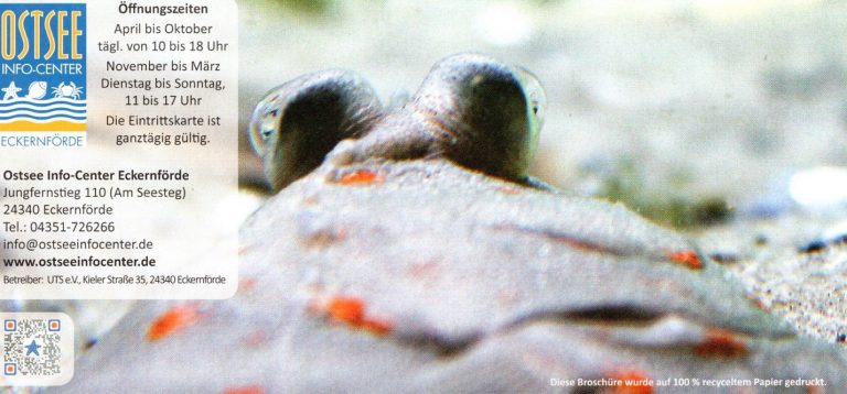 ostsee info center eckernfoerde05 768x358