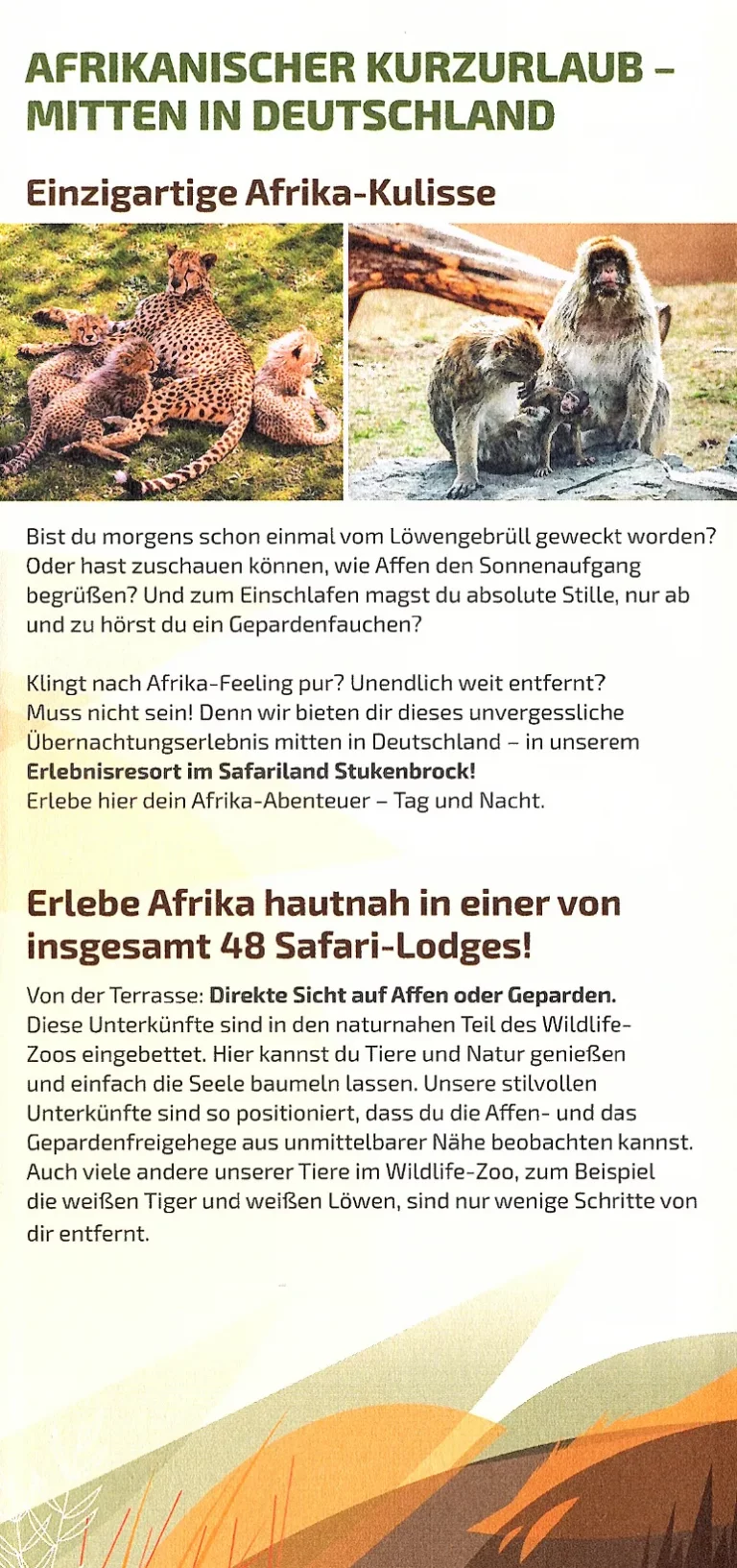 Holte Stukenbrock safariland 002 768x1633