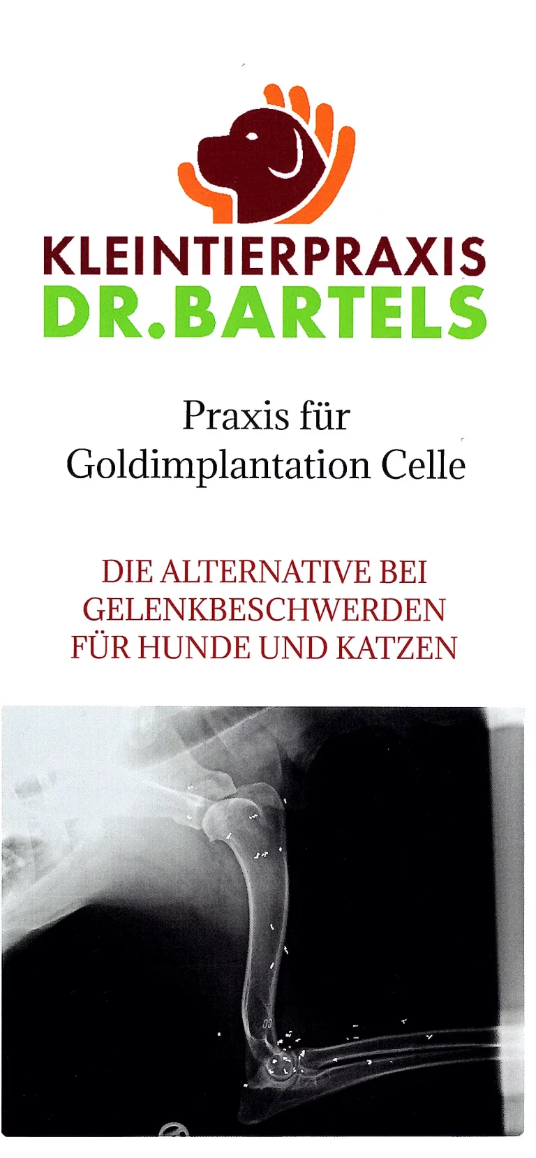 celle kleintierpraxis dr bartels 002 1 768x1659