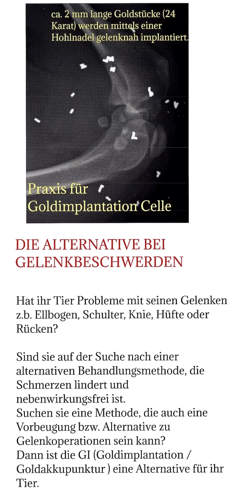 celle kleintierpraxis dr bartels 003 1 768x1626