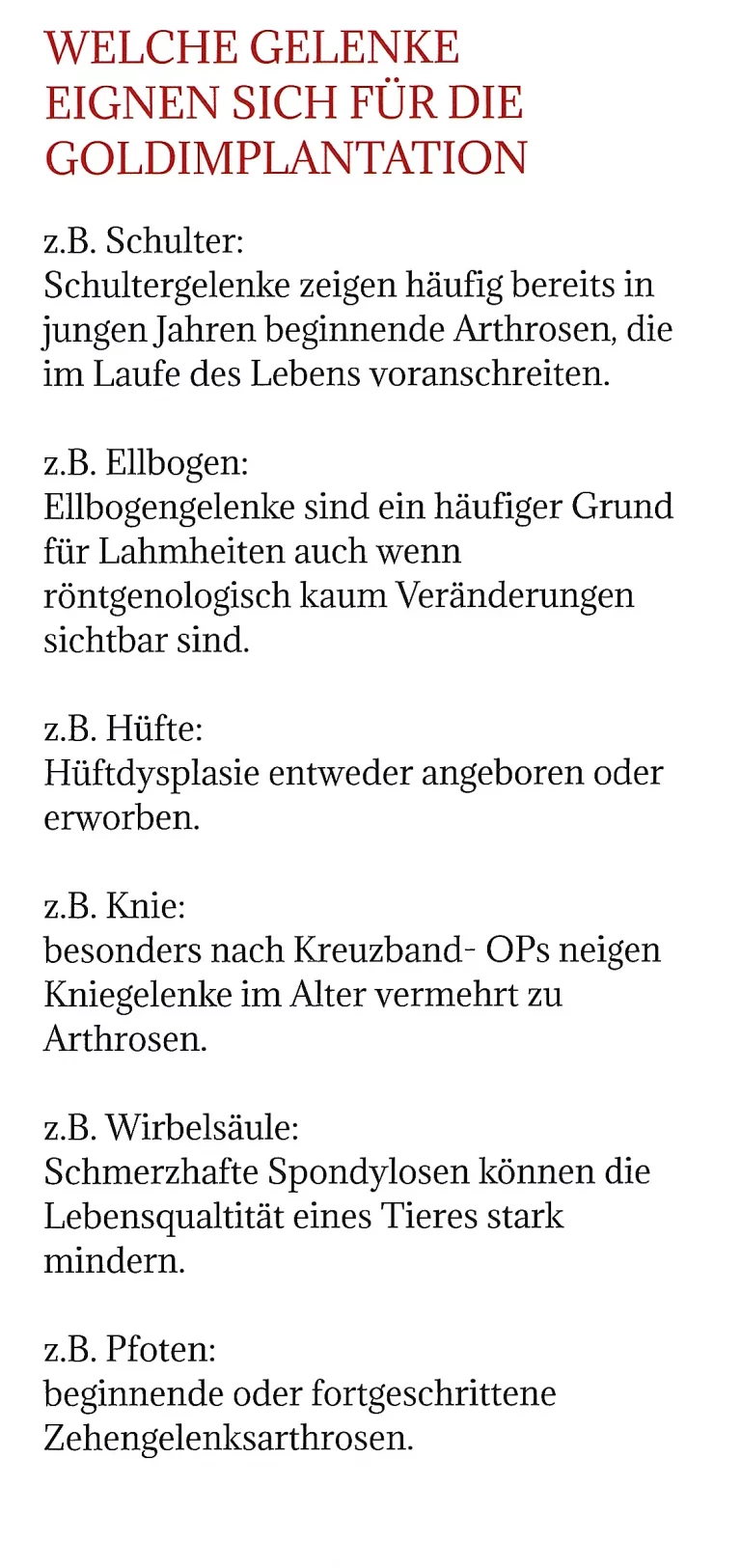 celle kleintierpraxis dr bartels 004 1 768x1625