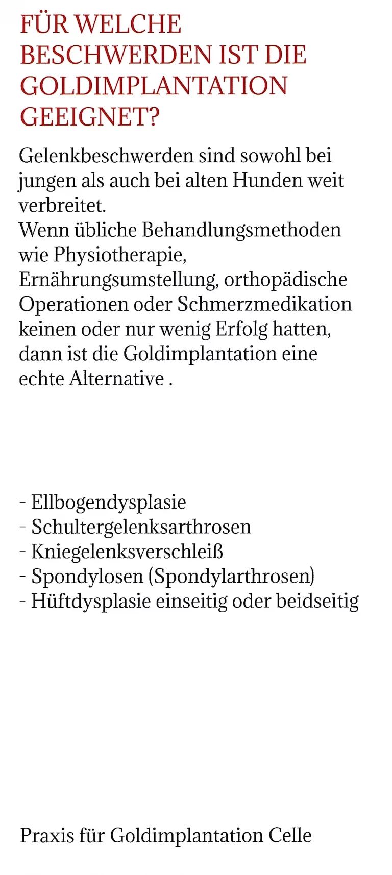 celle kleintierpraxis dr bartels 005 1 768x1715