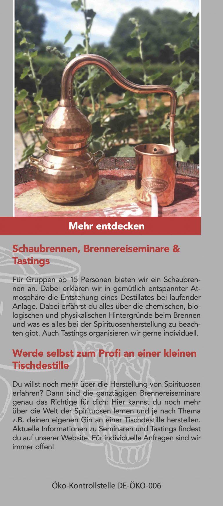 dolleruper destille 04 768x1742