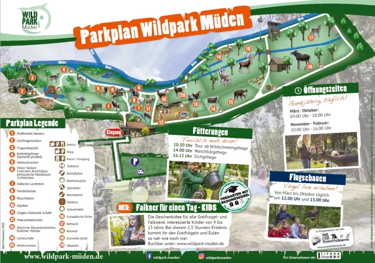 mueden wilpark mueden 002 768x540
