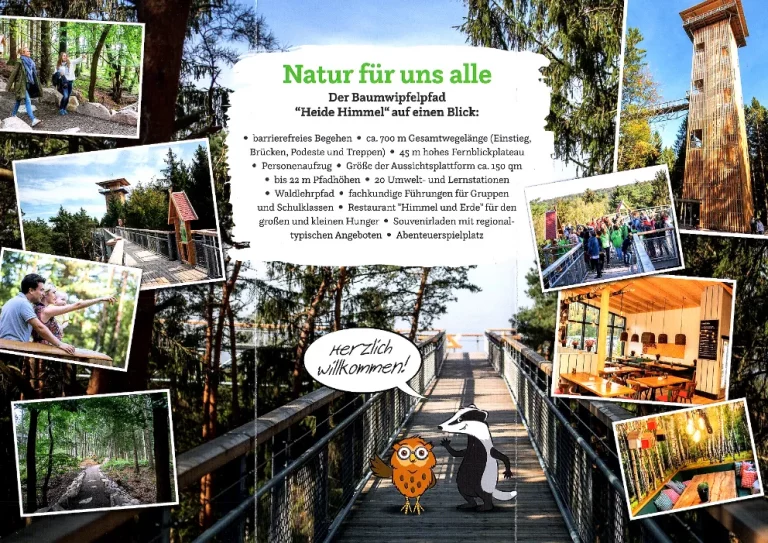 hanstedt nindorf heide himmel baumwipfelpfad 002 768x543