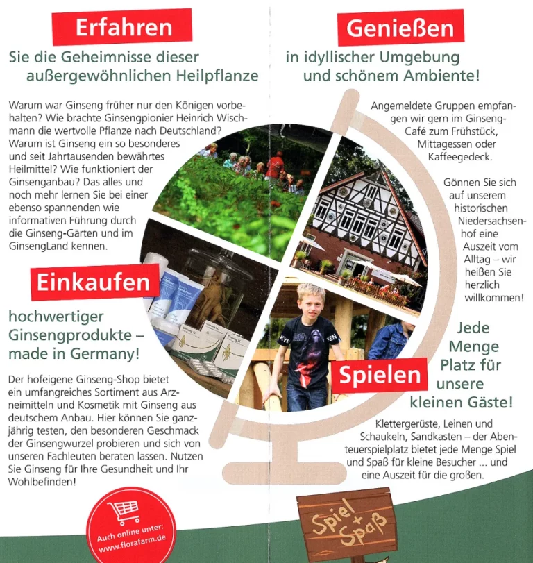 walsrode florafarm ginseng 003 768x811