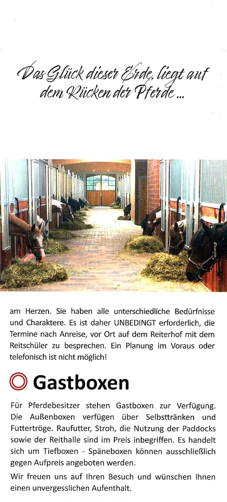 wietzendorf reiterhof suedsee camp 003 768x1701